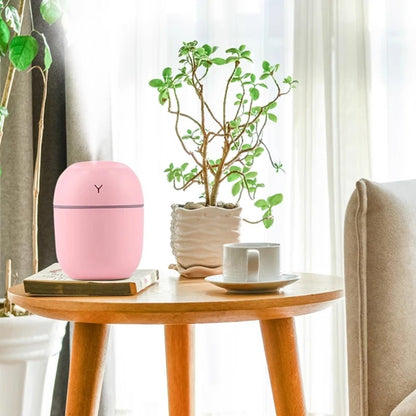 Mini Humidifier & Air Purifier - VivyBox